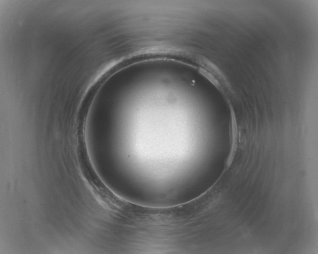 X0000078310436200611172219