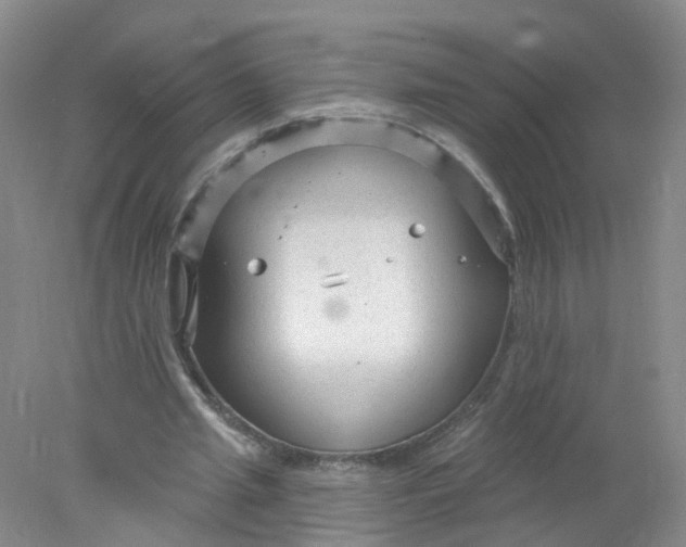 X0000078310437200611172219