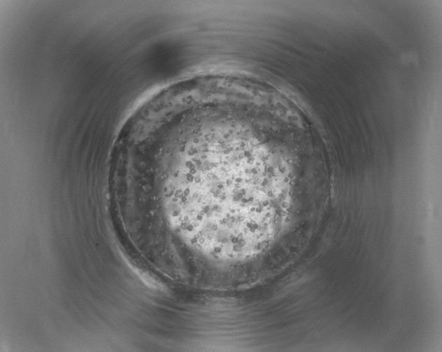 X0000078310438200611172219