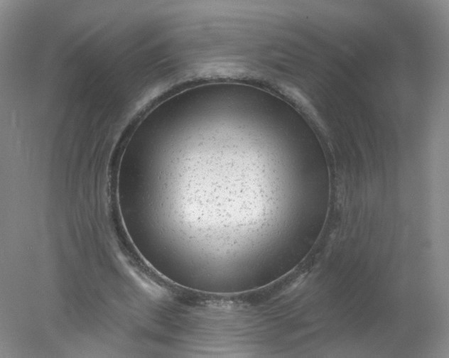 X0000078310439200611172219