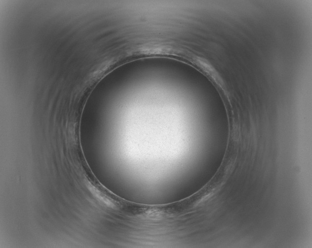 X0000078310441200611172219