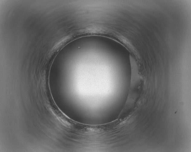 X0000078310442200611172219