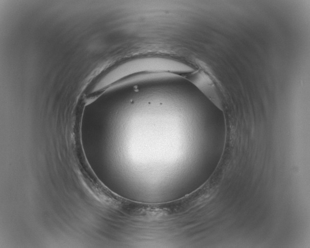 X0000078310443200611172219