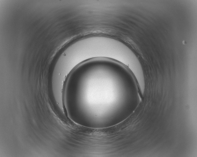 X0000078310444200611172219