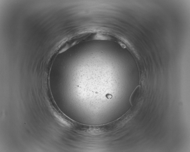 X0000078310445200611172219