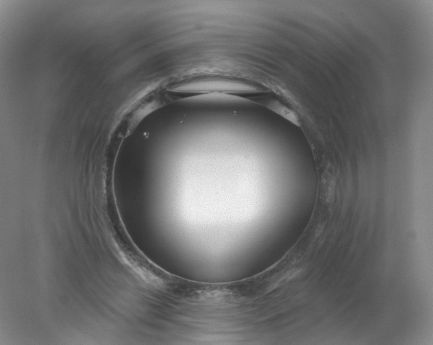 X0000078310446200611172219