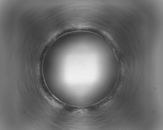 X0000078310447200611172219