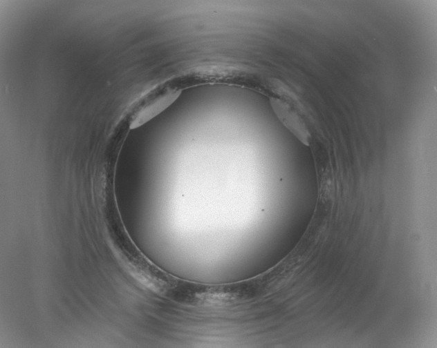 X0000078310448200611172219