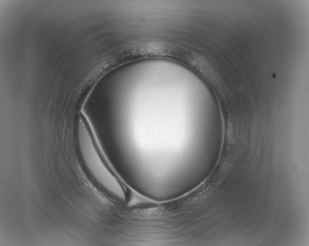 X0000078310449200611172219