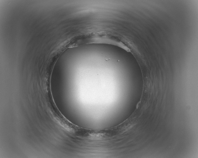 X0000078310450200611172219