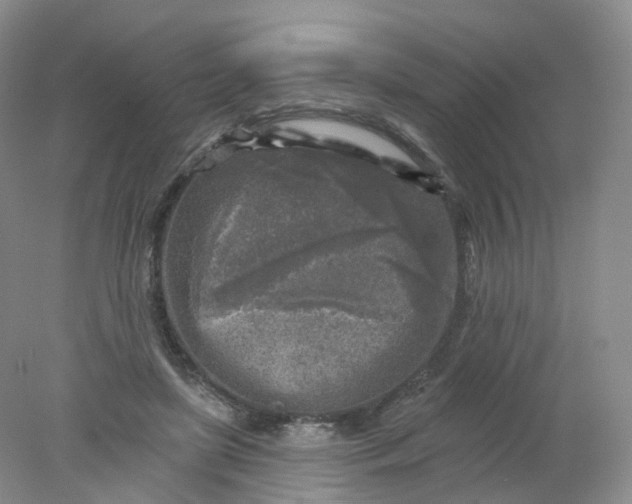 X0000078310451200611172219