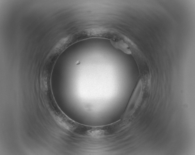 X0000078310452200611172219