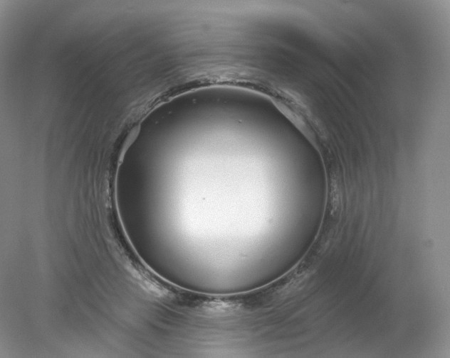 X0000078310453200611172219