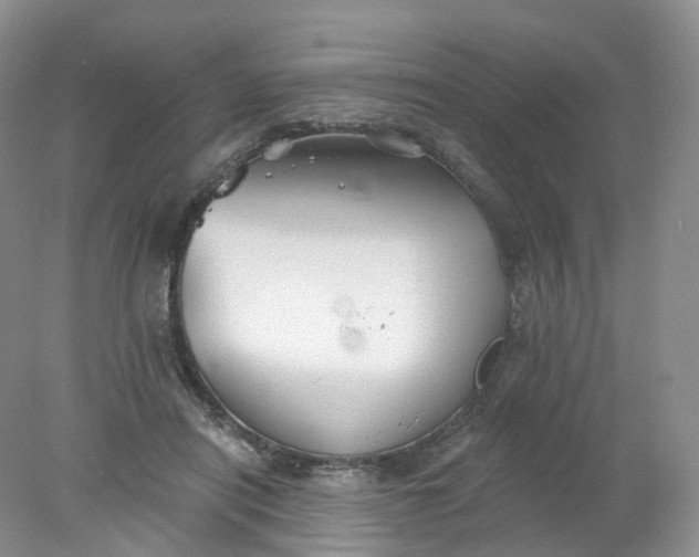 X0000078310454200611172219