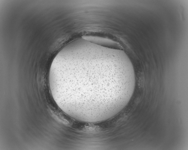 X0000078310455200611172219