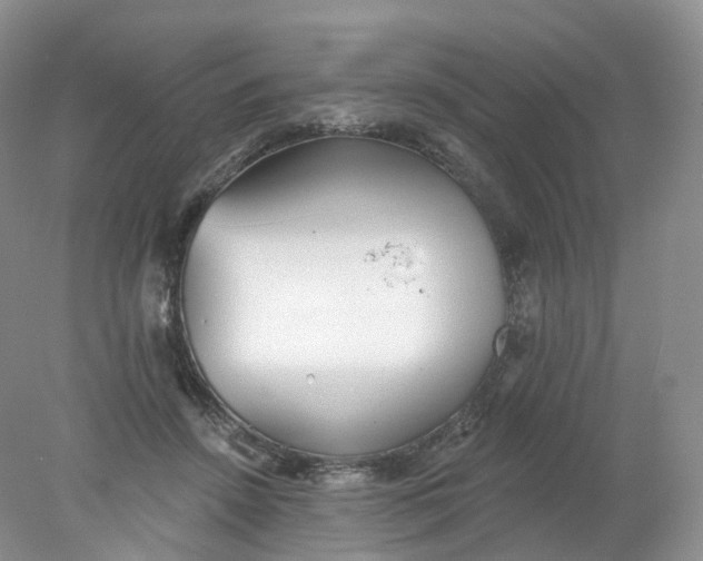 X0000078310456200611172219