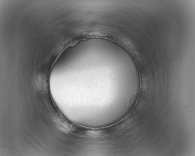 X0000078310457200611172219