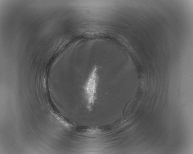 X0000078310458200611172219