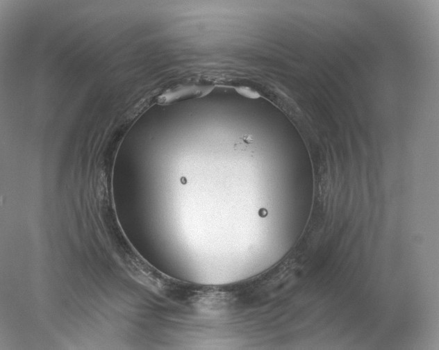 X0000078310459200611172219