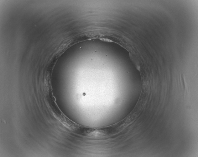 X0000078310460200611172219