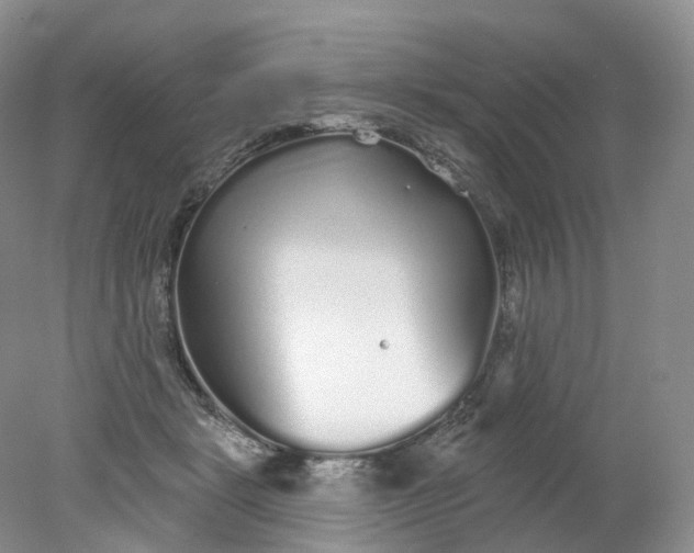 X0000078310461200611172219