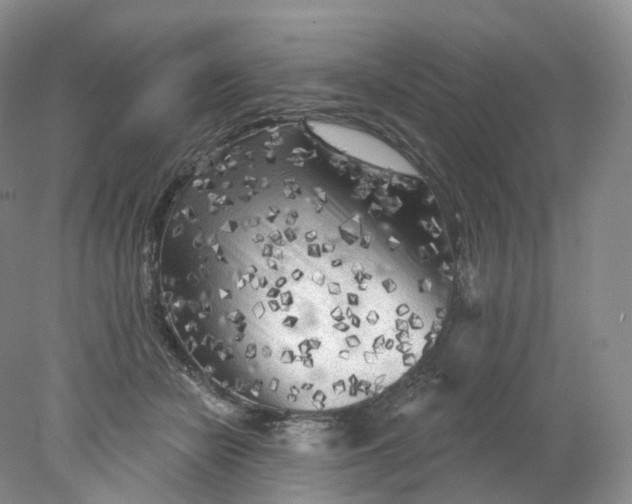 X0000078310462200611172219