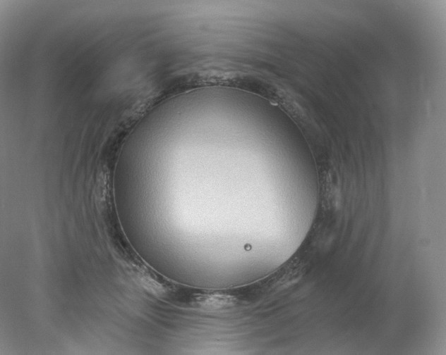 X0000078310463200611172219