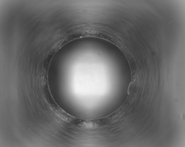 X0000078310464200611172219