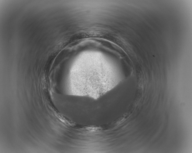 X0000078310465200611172219