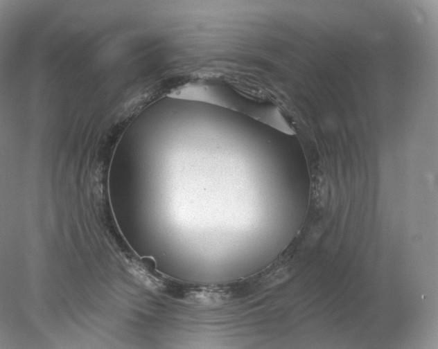 X0000078310466200611172219