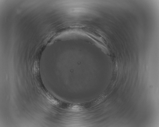 X0000078310467200611172219