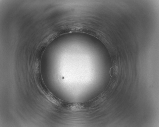 X0000078310468200611172219