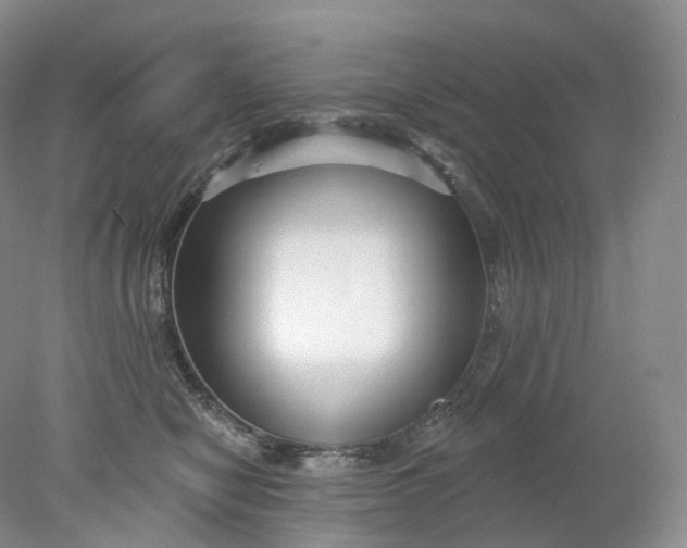 X0000078310470200611172219