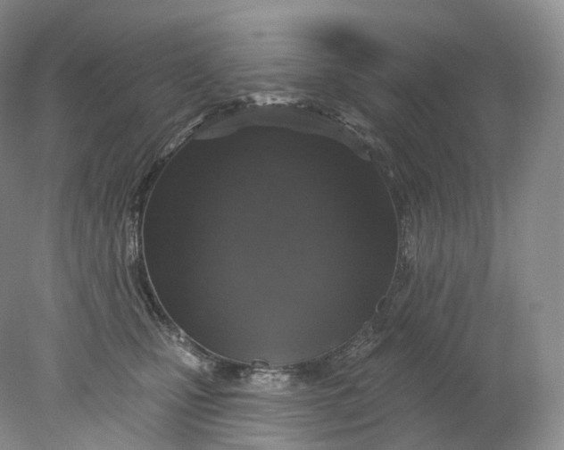 X0000078310471200611172219