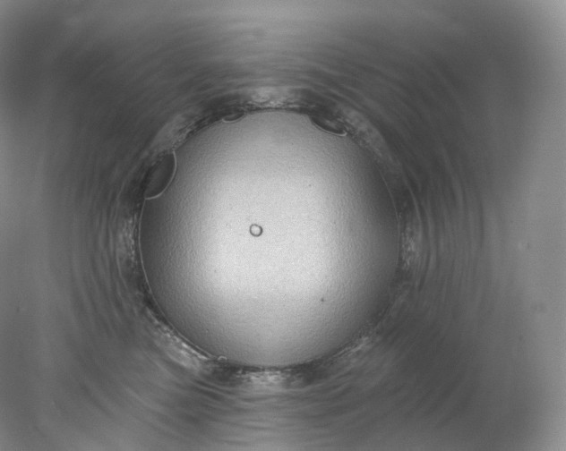 X0000078310473200611172219