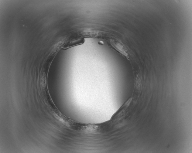 X0000078310474200611172219