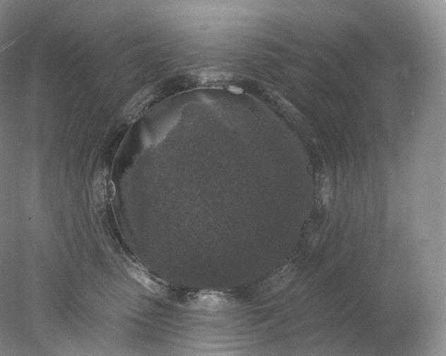 X0000078310475200611172219