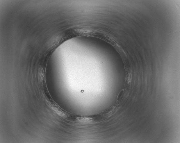 X0000078310476200611172219