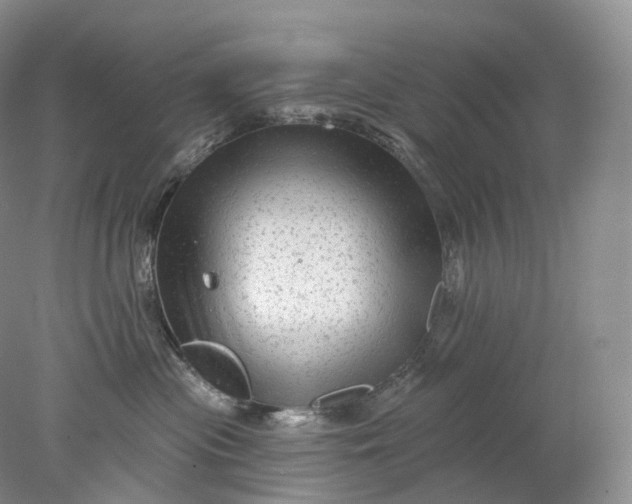 X0000078310477200611172219