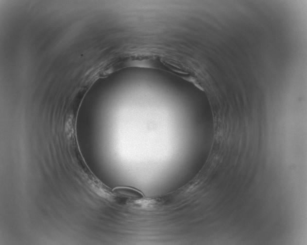 X0000078310478200611172219