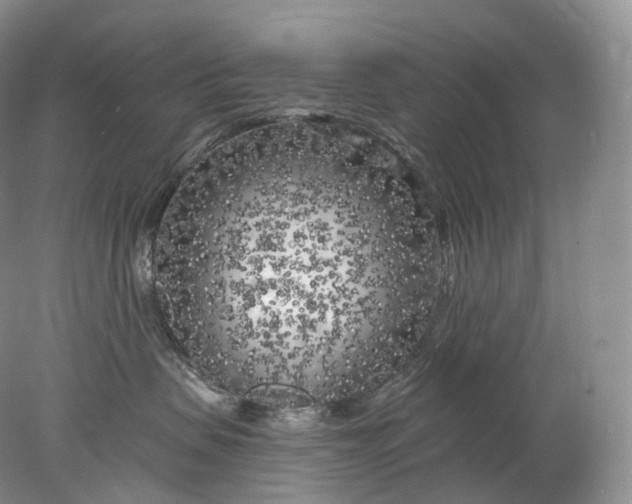 X0000078310479200611172219