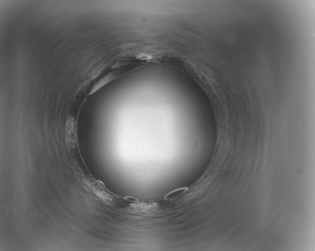 X0000078310480200611172219