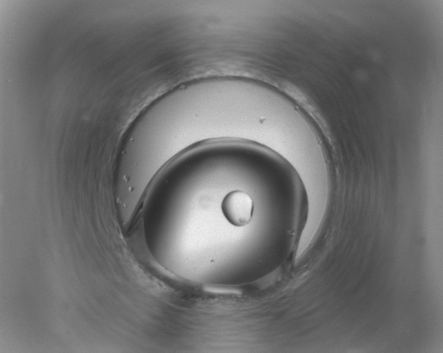 X0000078310481200611172219