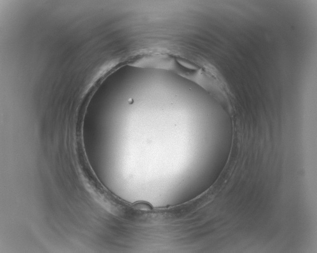 X0000078310482200611172219