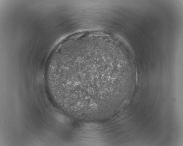 X0000078310483200611172219