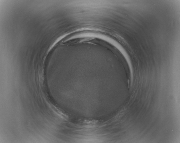 X0000078310484200611172219