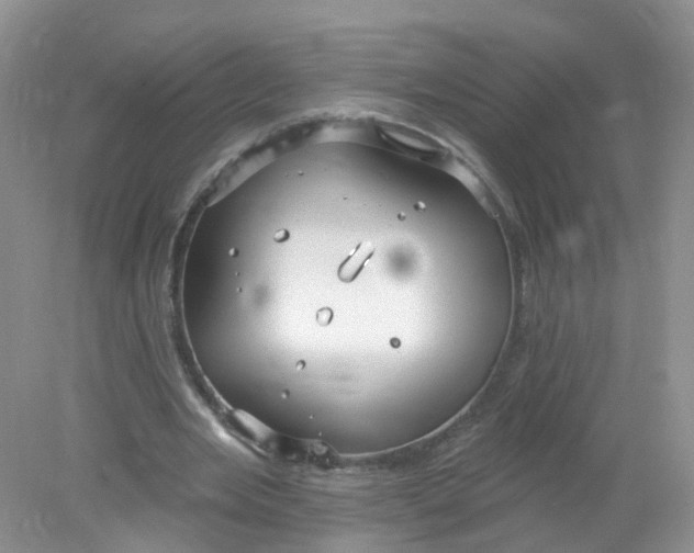 X0000078310485200611172219