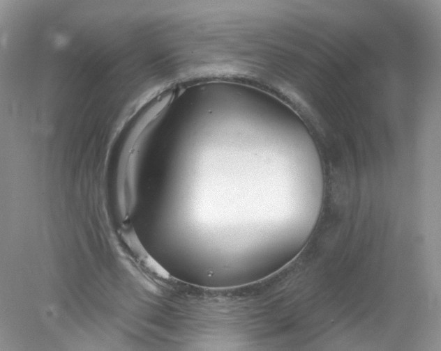 X0000078310486200611172219