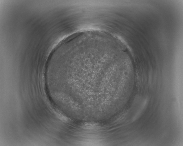 X0000078310487200611172219