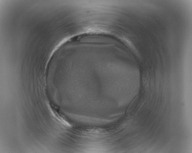 X0000078310488200611172218